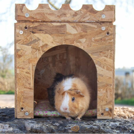 02 - ModuloNAC - La Cabane pour lapin – Image 5