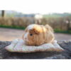 05 - Coussin carré pour petits animaux – Image 6