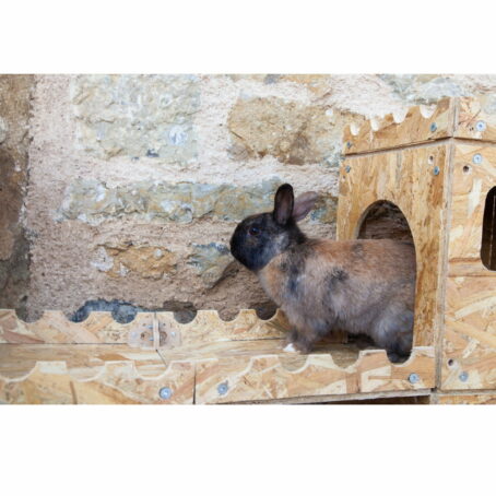 01 - ModuloNAC - Le Château XL 4 en 1 pour lapin – Image 12