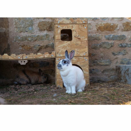 01 - ModuloNAC - Le Château XL 4 en 1 pour lapin – Image 11