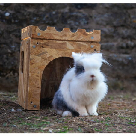 02 - ModuloNAC - La Cabane pour lapin – Image 6