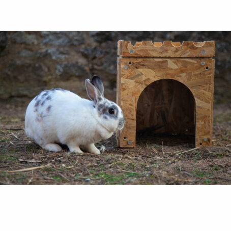 02 - ModuloNAC - La Cabane pour lapin – Image 7