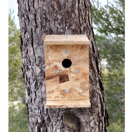 07 - Nichoir à oiseaux