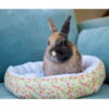 17 - Panier pour petits animaux – Image 4