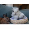 17 - Panier pour petits animaux – Image 5