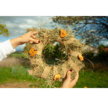 29 – Jouet Couronne de Noël XXL à grignoter