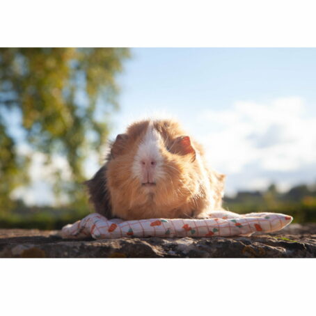 25 - Coussin rectangle pour petits animaux – Image 3