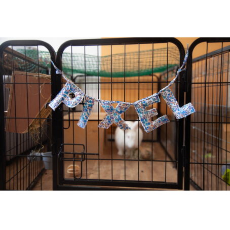 30 - Guirlande personnalisable en tissu