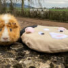 36 - PersoDodo : coussin cochon d'inde personnalisé – Image 2