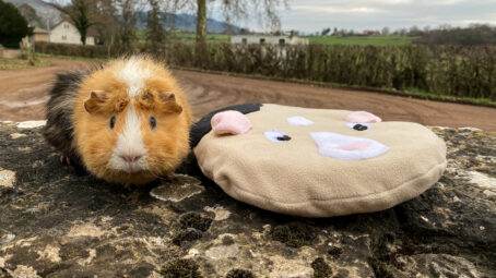 36 - PersoDodo : coussin cochon d'inde personnalisé – Image 2