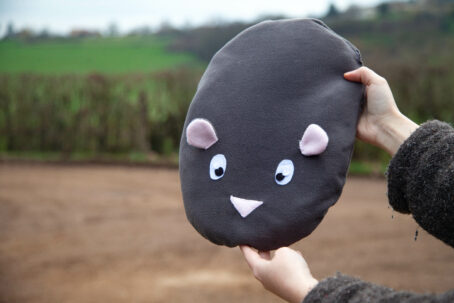36 - PersoDodo : coussin cochon d'inde personnalisé – Image 3