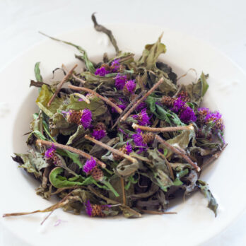 55 – mix des champs