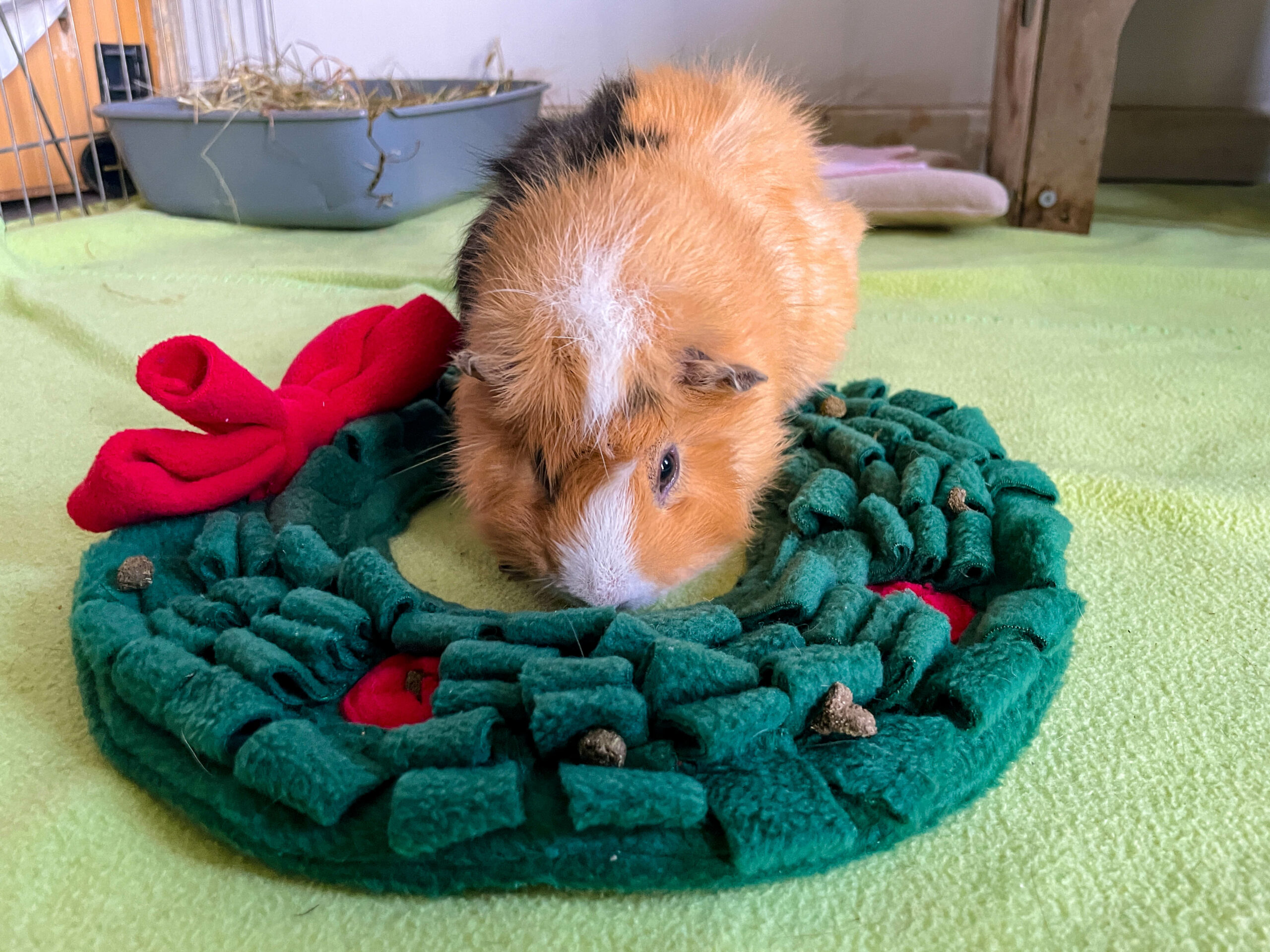 62 - Tapis de fouille couronne de noël – Image 2