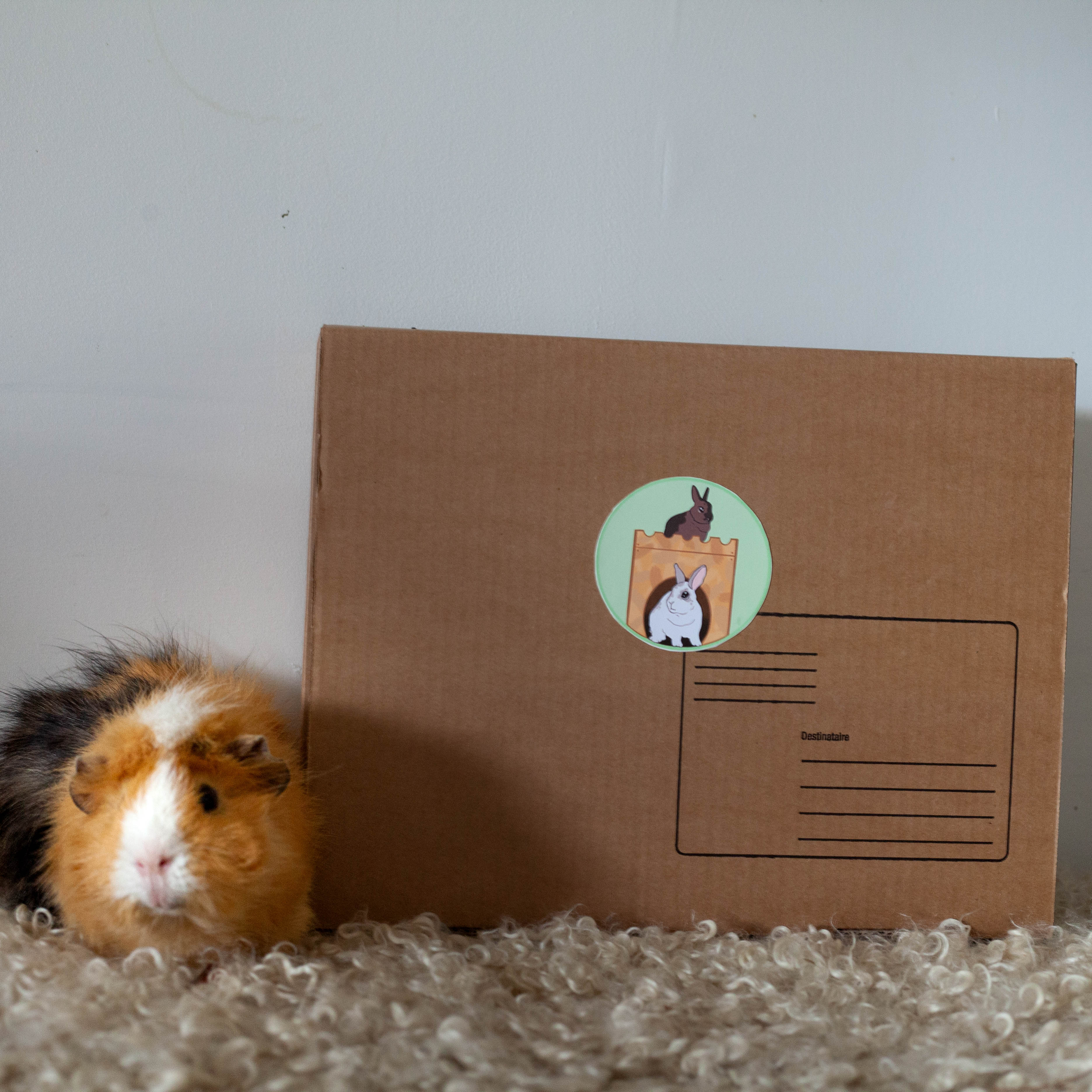 56 – Zoo-BOX pour NAC