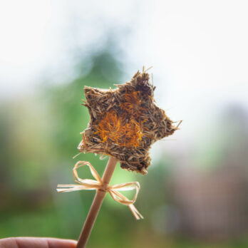 63 – Lot 2 sucettes étoile de Noël