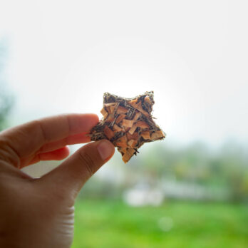 64 – Friandises de Noël