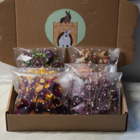 75 - Box découverte fleurs – Image 3