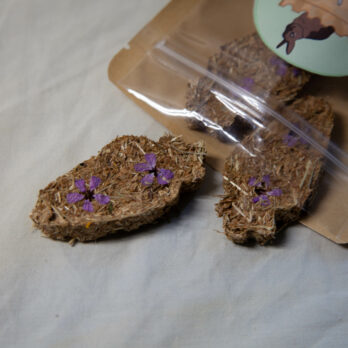 74 – Friandises carottes