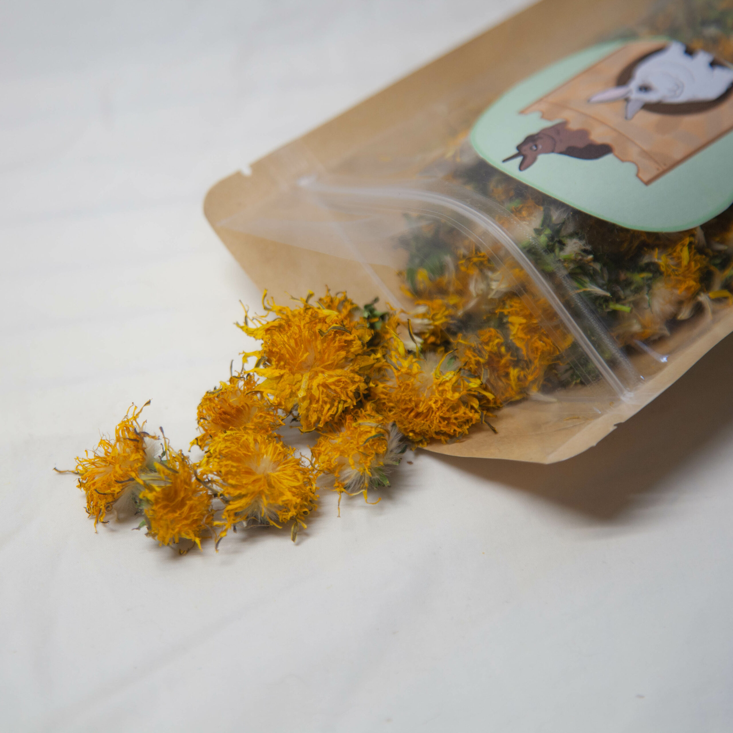 77 – fleurs de pissenlit séchées