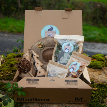 83 – Zoo-BOX de Noël