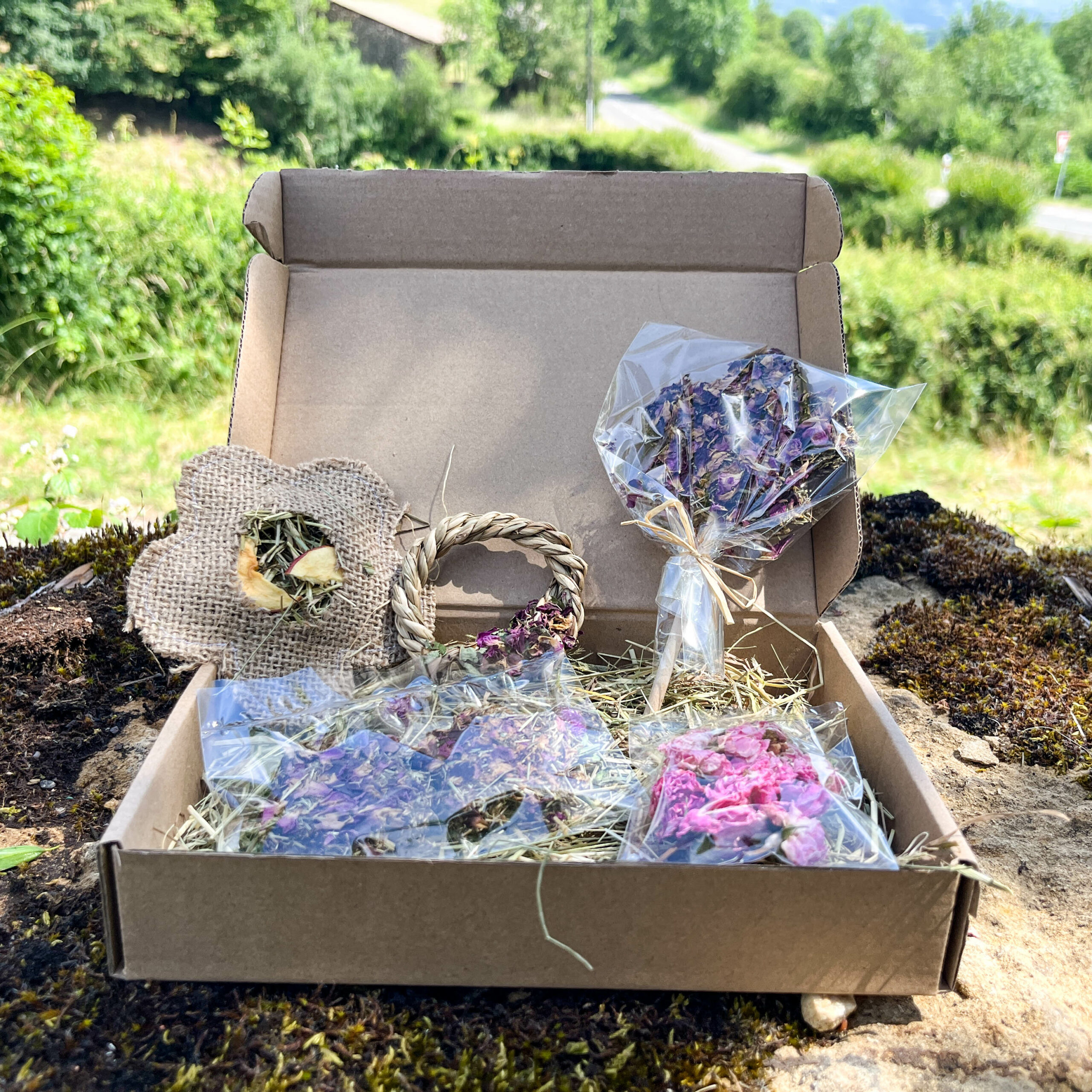 90 – Mini Zoo-BOX de l’été