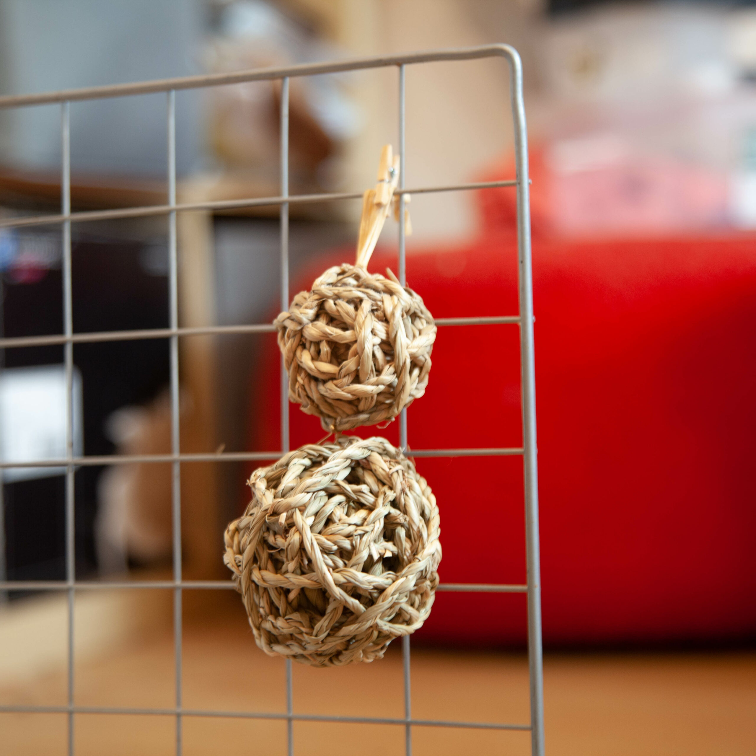 84 - jouet à grignoter à suspendre