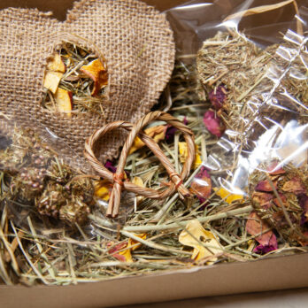 90 – Mini Zoo-BOX de la Saint valentin