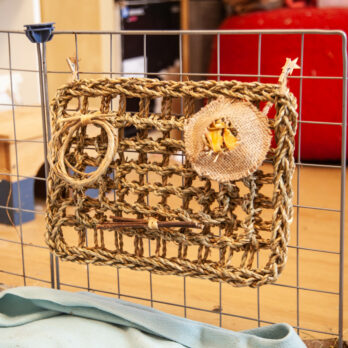 89 – Tapis à grignoter