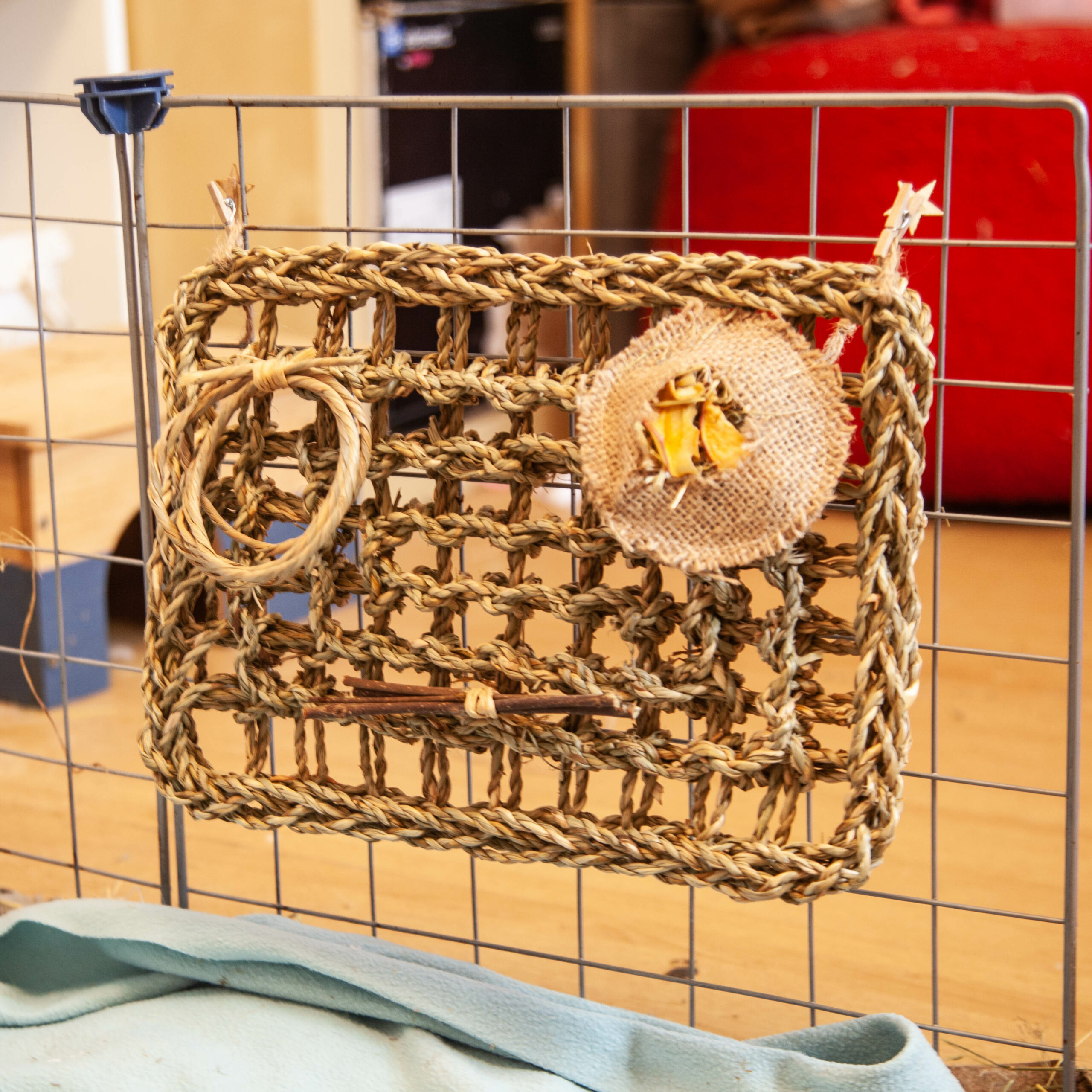 89 - Tapis à grignoter