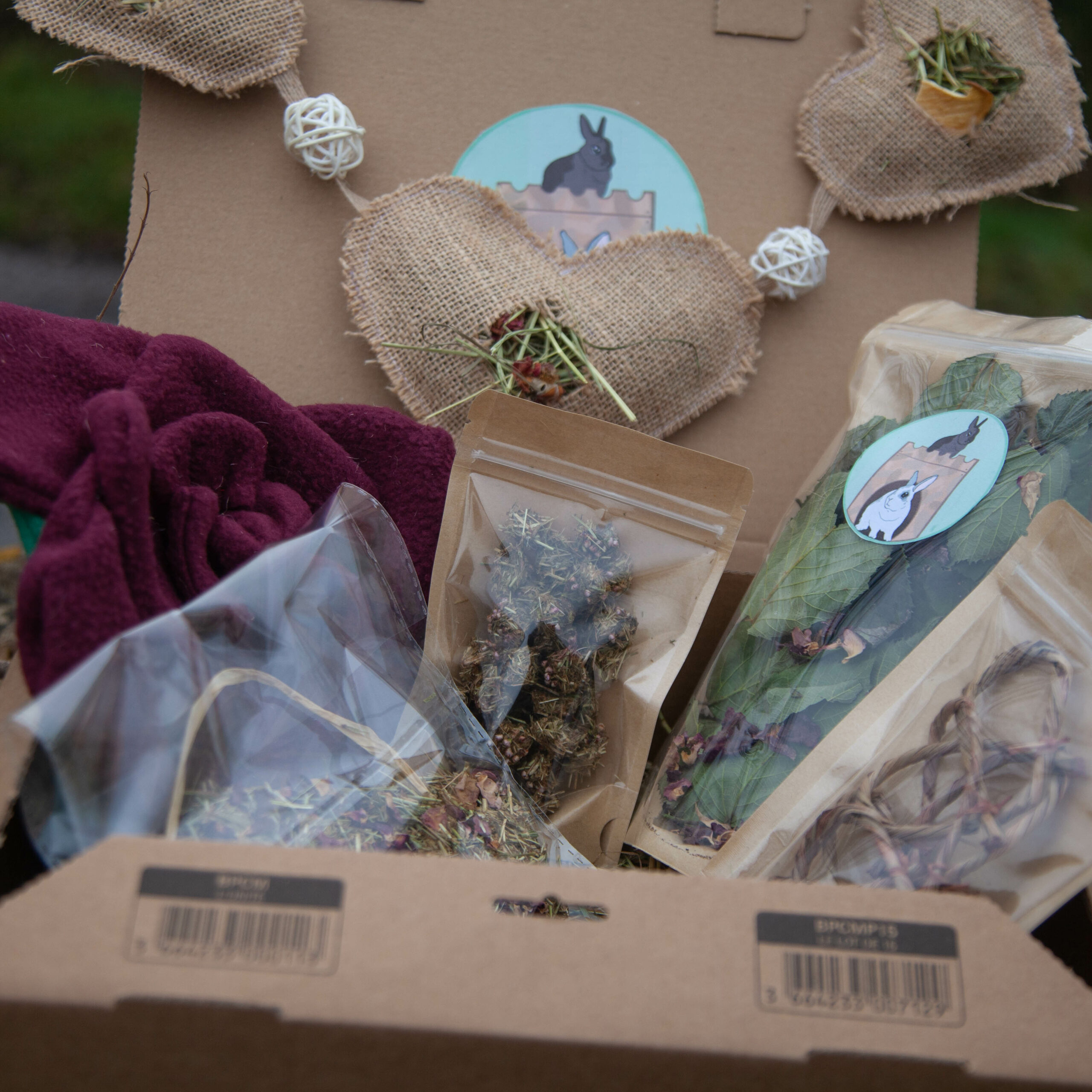 91 - Zoo-BOX de la Saint Valentin – Image 3