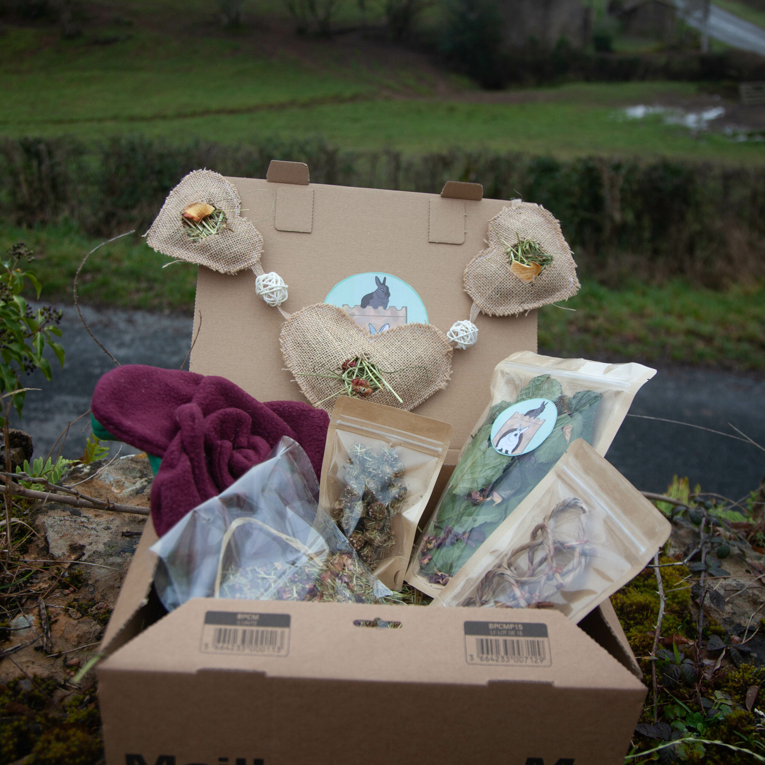 91 - Zoo-BOX de la Saint Valentin – Image 4