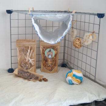 95 – Zoo-Box pour rat