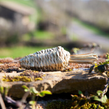 91 – Carotte à grignoter