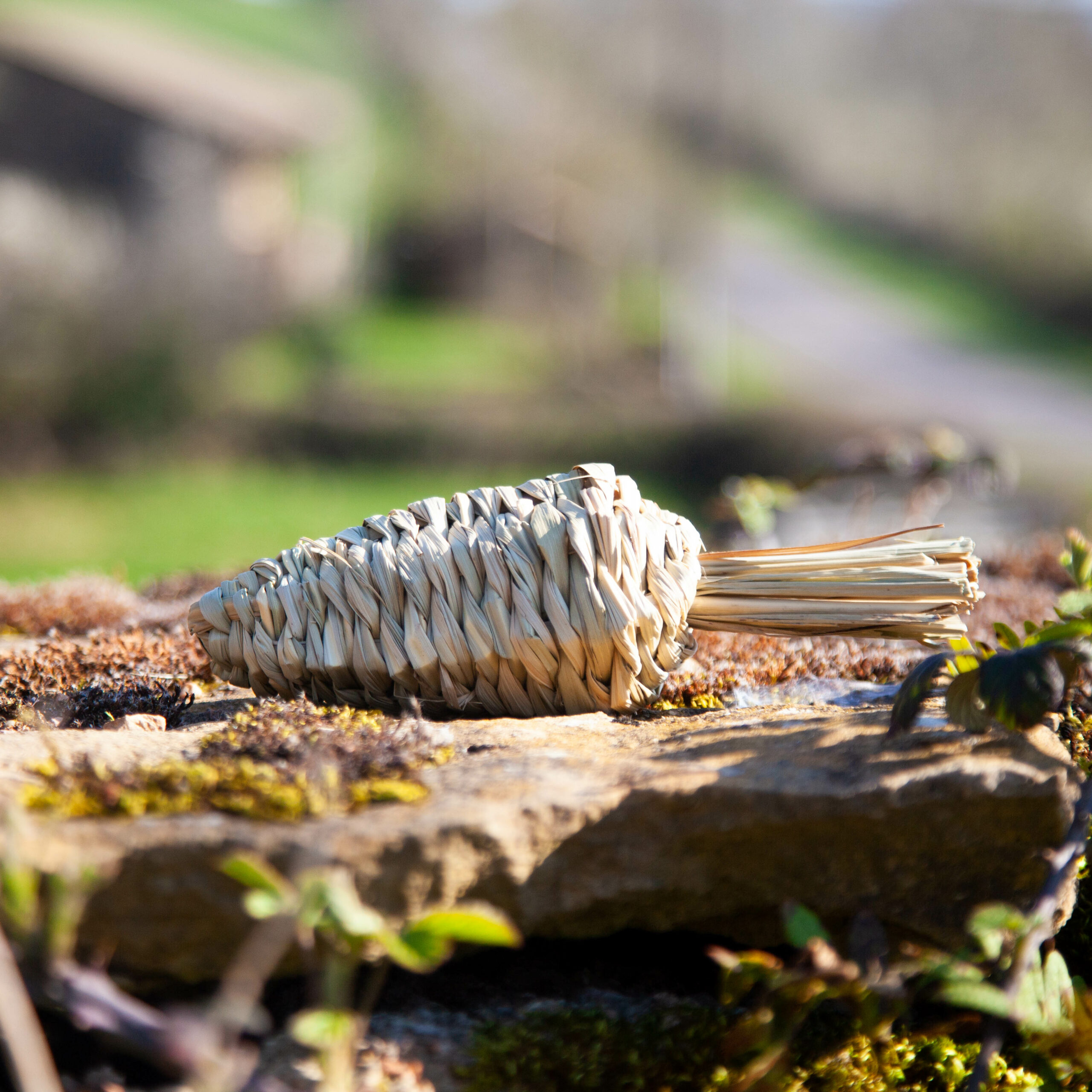 91 - Carotte à grignoter – Image 2