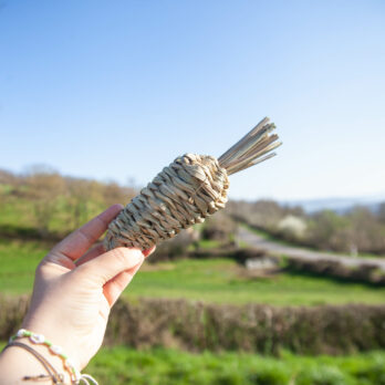 91 – Carotte à grignoter