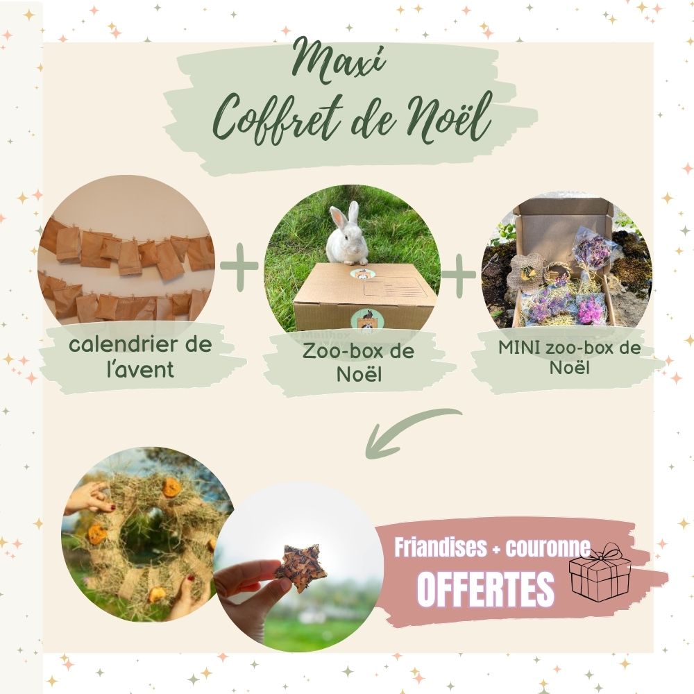 100 - Coffret de Noël : Calendrier de L'avent + Zoo-box de Noël + mini Zoo-box de Noël