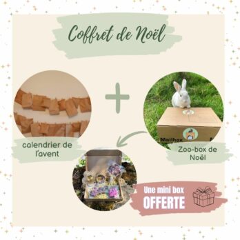 82 – Coffret de Noël : Calendrier de L’avent + box de Noël