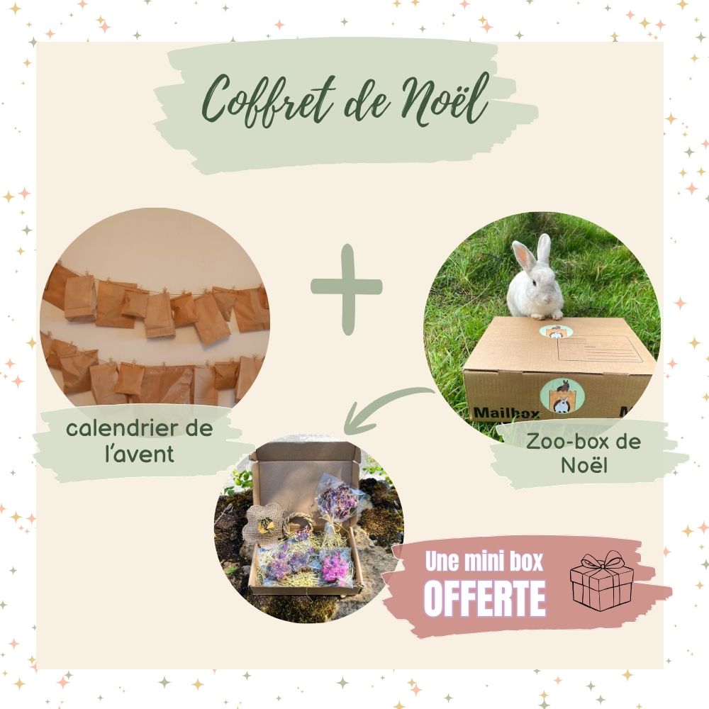 82 - Coffret de Noël : Calendrier de L'avent + box de Noël