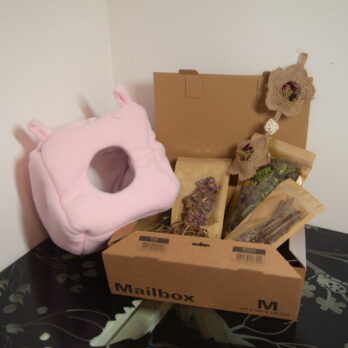 98 – Zoo-BOX pour chinchilla