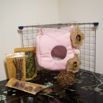 98 – Zoo-BOX pour chinchilla